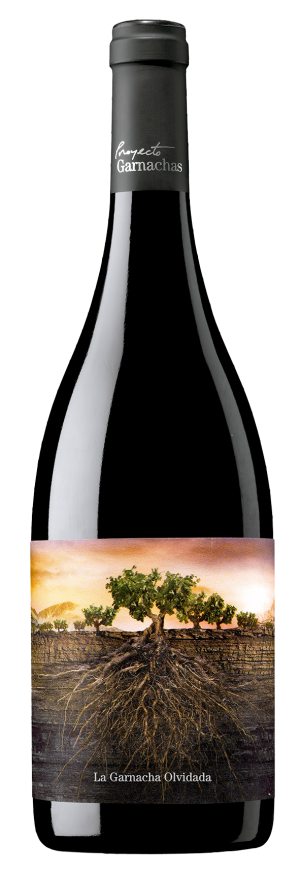 La Garnacha Olvidada de Aragón