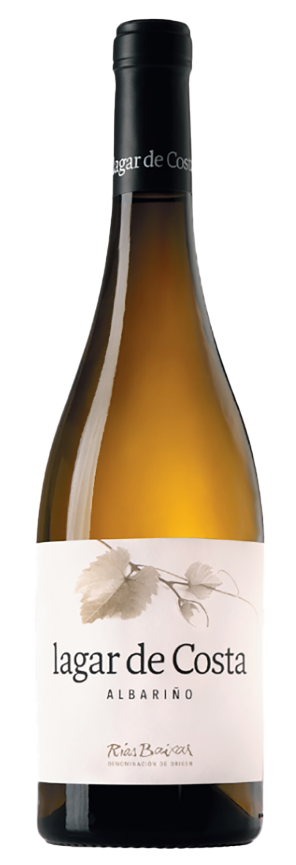 Lagar de Costa Albariño