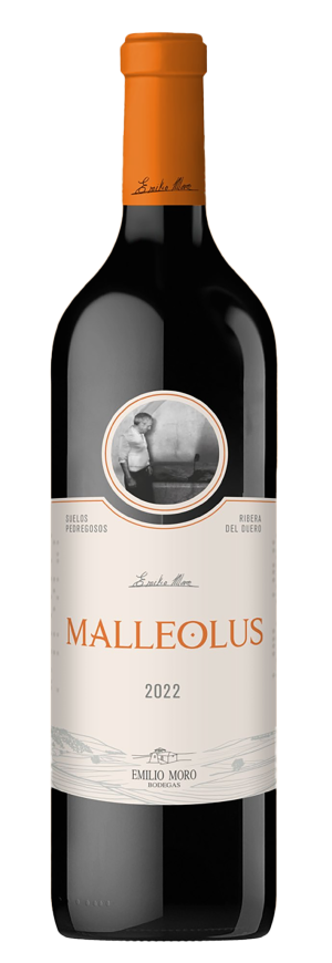 Malleolus