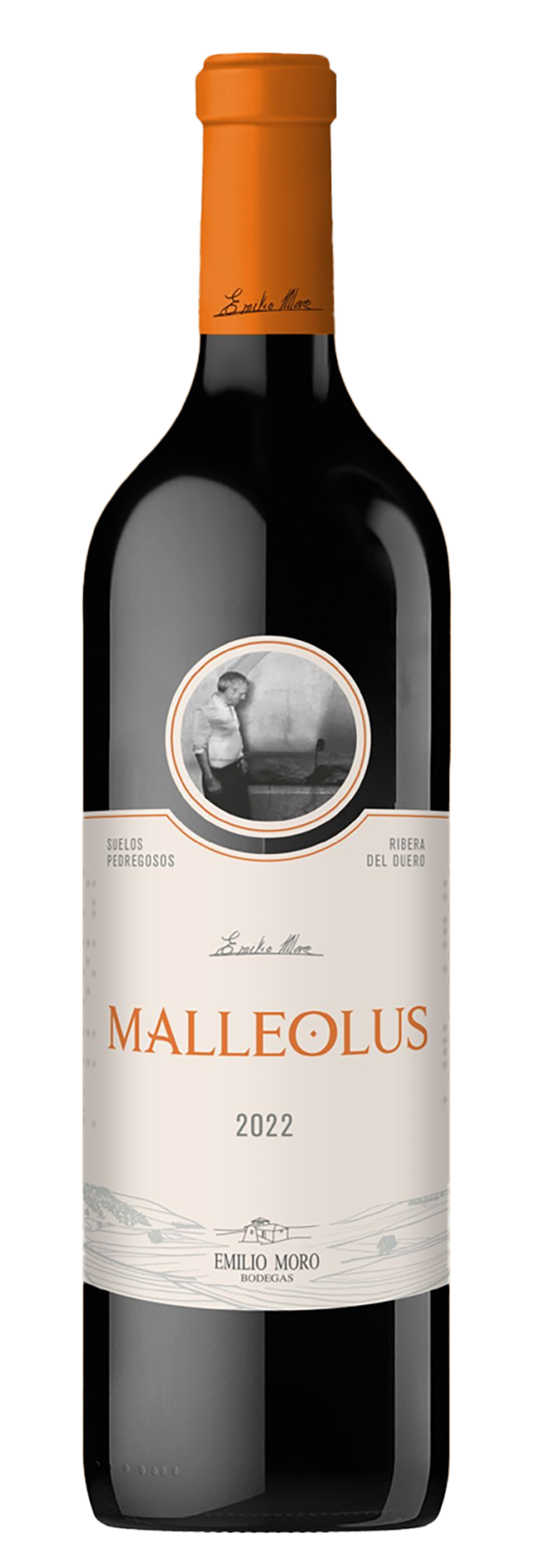 Malleolus