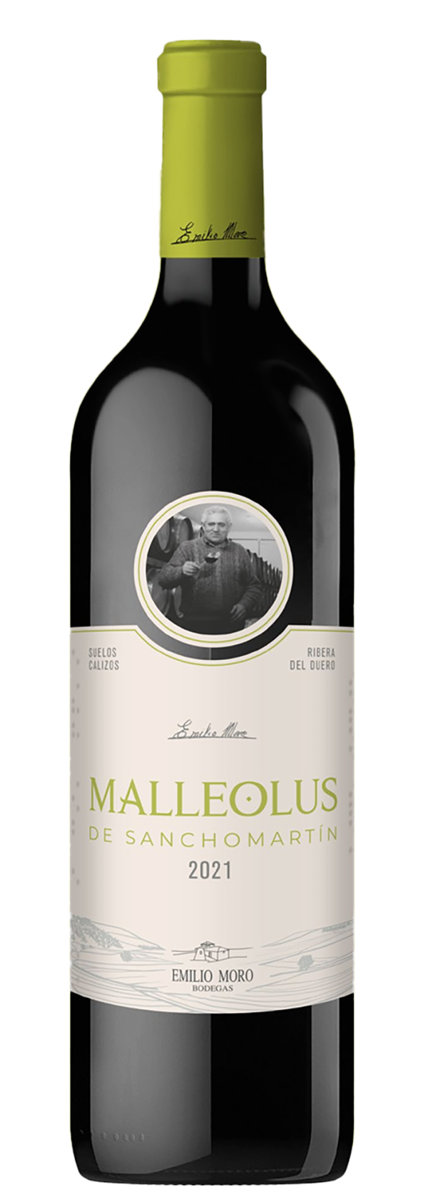 Malleolus de Sanchomartín