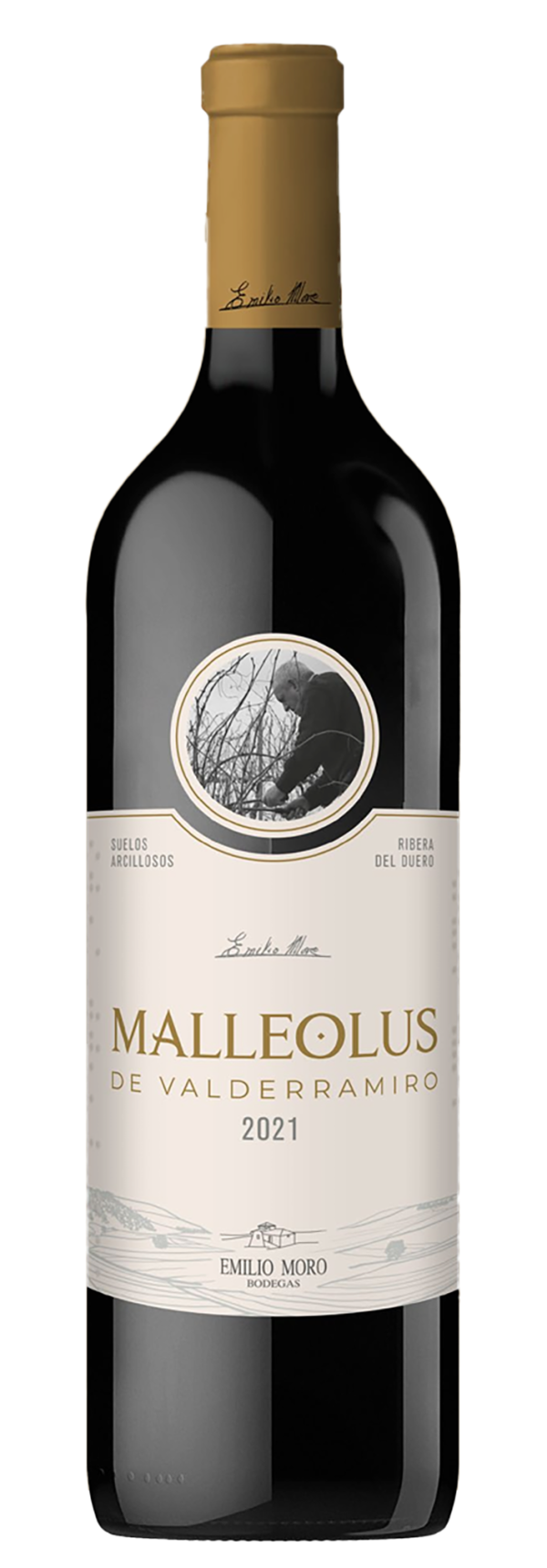Malleolus de Valderramiro