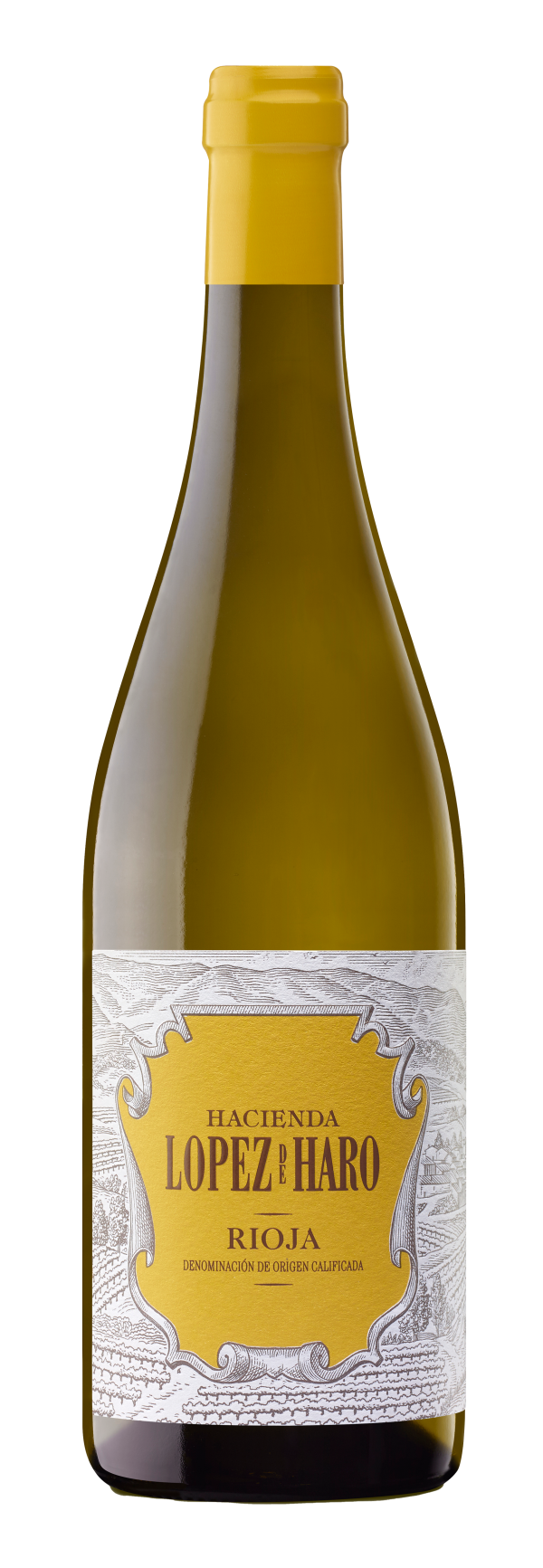 López de Haro Blanco de Badarán
